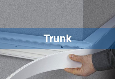 trunk
